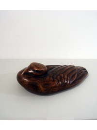 Nightjar by Michael Cooper