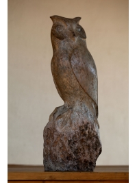 Owl by Michael Cooper