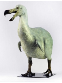 Extinct Species