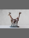 Giraffe by David Bwambale